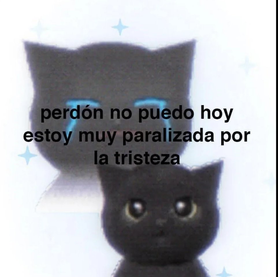 Mar 🧸 (@maarsiana) / Posts / X