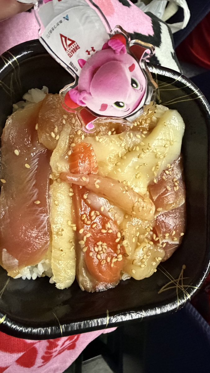 今日はレバ漬け丼。
ジャンボくんと一緒に食べたゾウ🤤