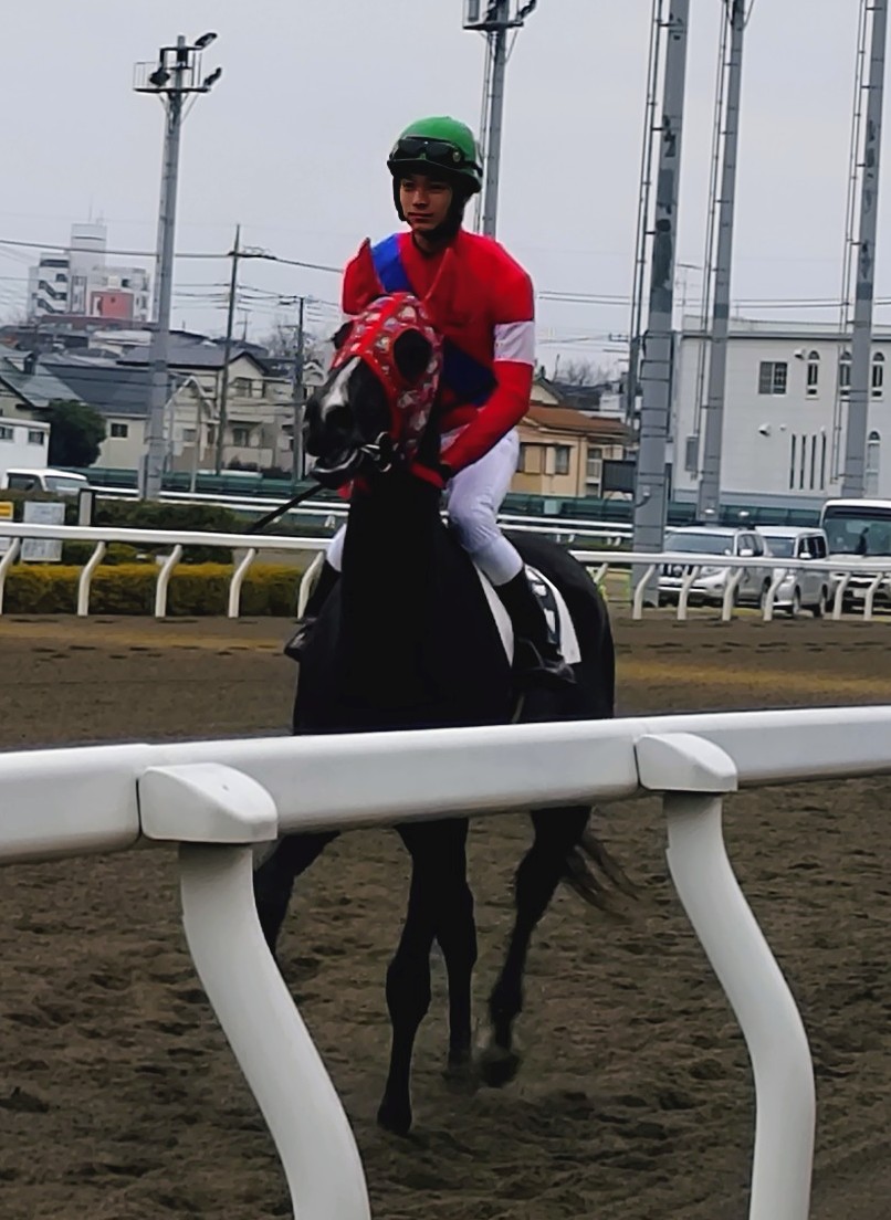 ゆさとみ tweet media