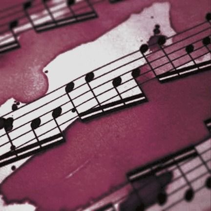 . ݁₊ ⊹ . ݁˖ . ݁💜𝕍𝕖𝕟𝕦𝕤🕷️. ݁₊ ⊹ . ݁˖ . ݁ tweet media