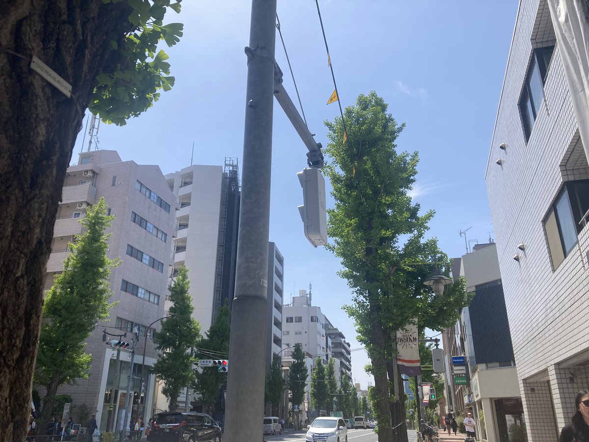 cholicholy's tweet photo. 陽射しが夏〜 https://t.co/ABYgaAekyV
