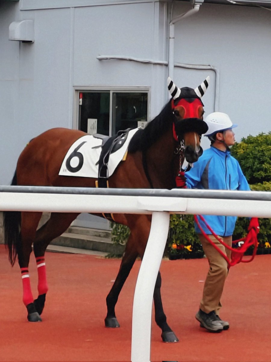 ゆさとみ tweet media