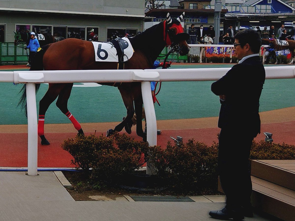 ゆさとみ tweet media