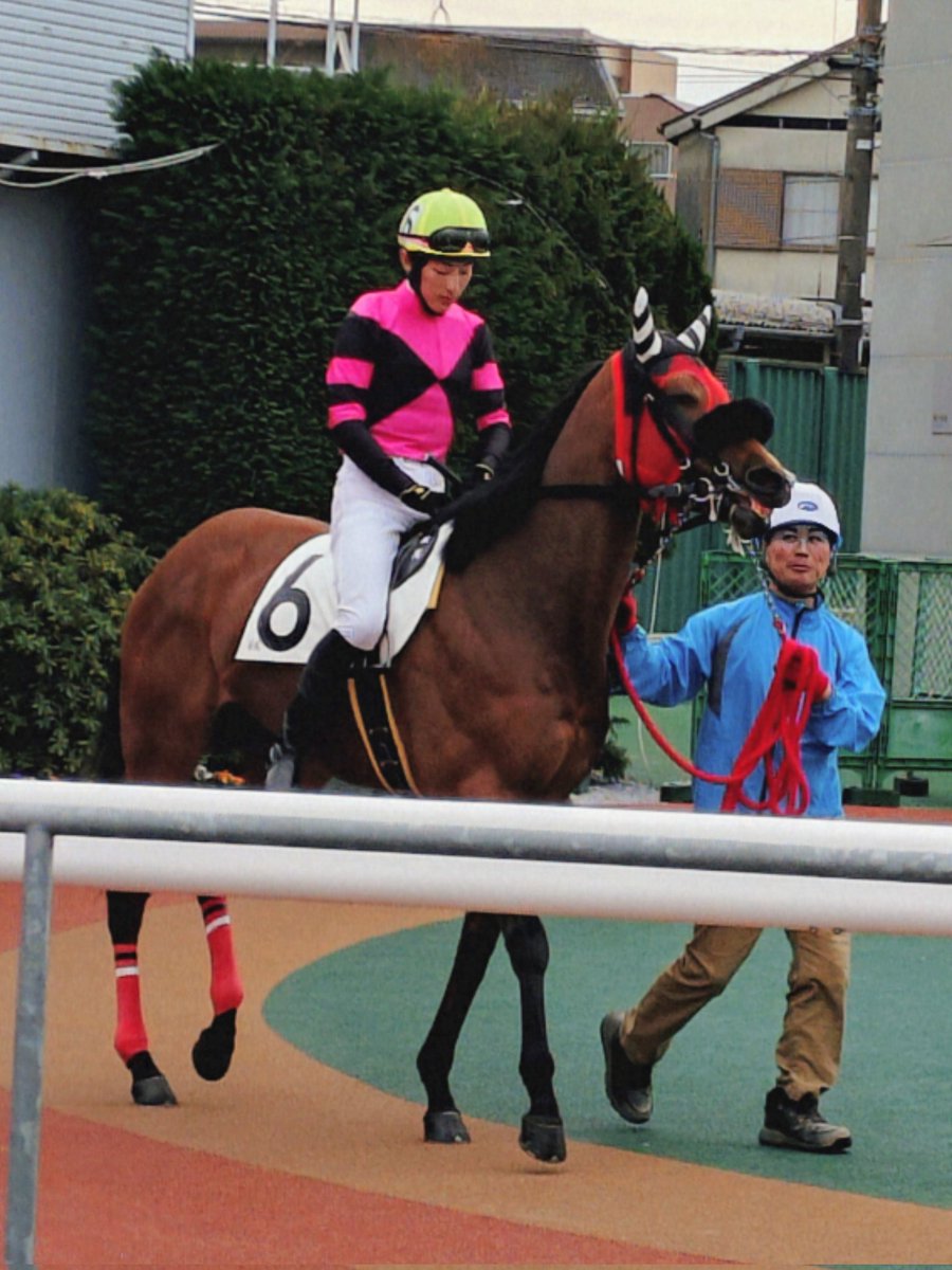 ゆさとみ tweet media