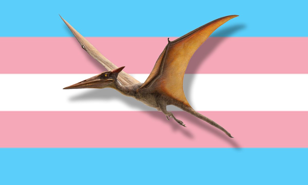Am I allowed to be a Pterodactyl Girl, or is that against the rules?