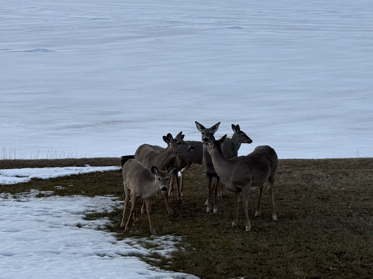 SmaielDanny's tweet image. Lac La Biche today #llb