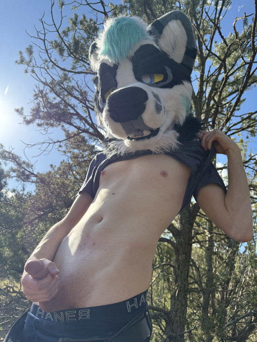 SkeezeeYiffs's tweet photo. No one will bother us out here 

Just be quick ;3 

#furry #nsfw #yiff https://t.co/5u7pj87HW8