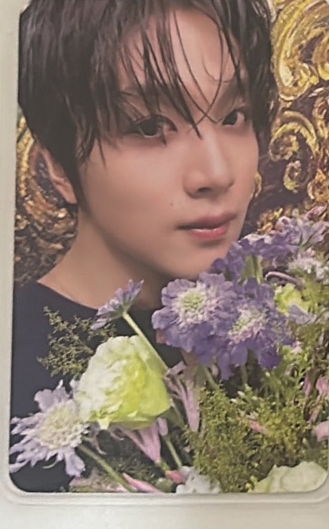 sijey 🤸🏻‍♀️ tweet media