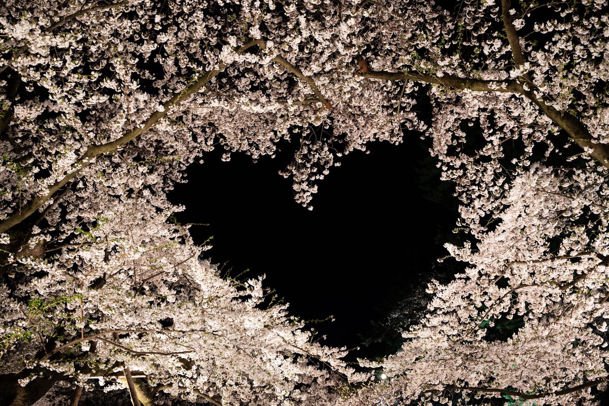 𝑩𝑰𝑮𝑳𝑶𝑽𝑬 #でん同士写真部