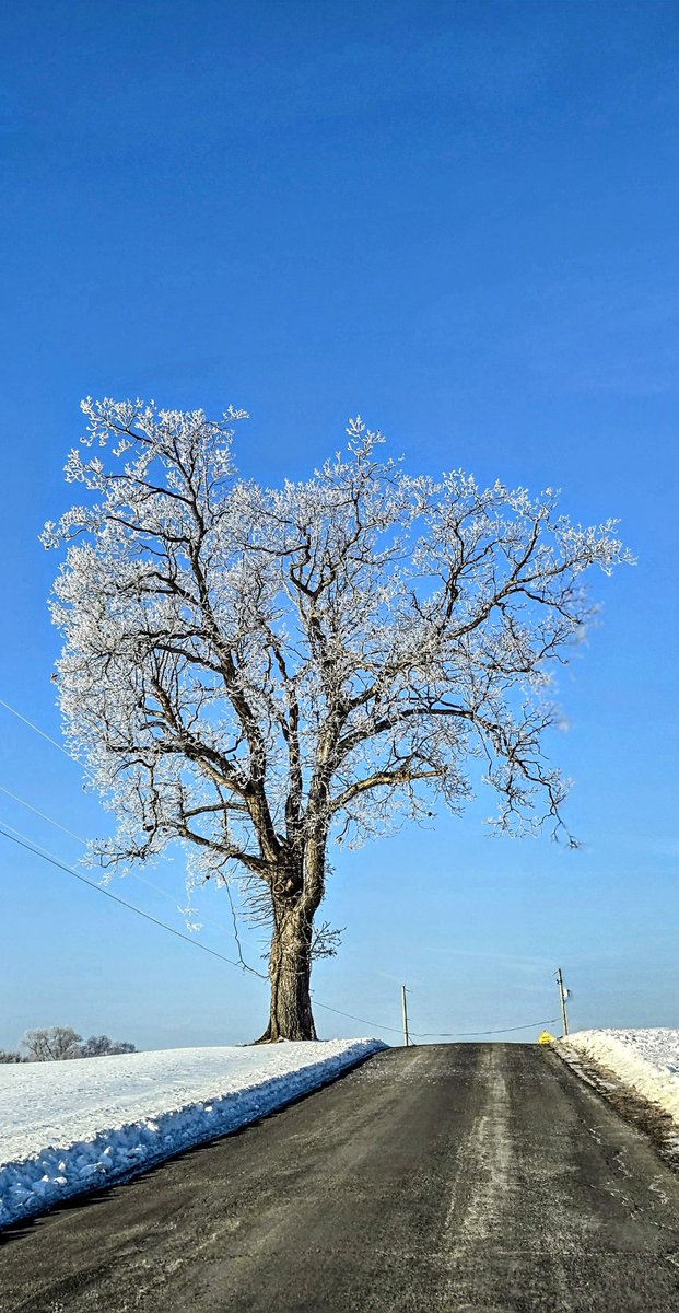 Just Jes tweet media