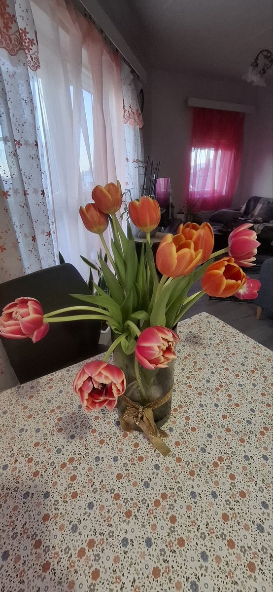 luv_angels1111's tweet image. ｡･ﾟ♡ﾟ Admiring these lovely tulips:)
Wonderful greetings for All ｡♡ﾟ･｡#goodvibes #flowers #happiness #blessings #angels #peace #love