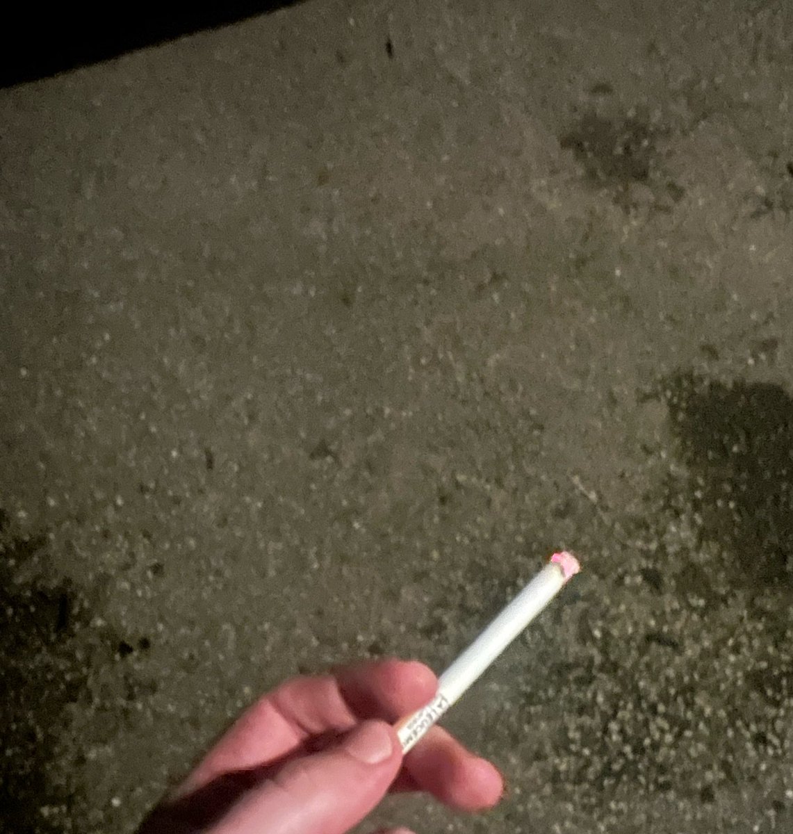 Perfect_GuyLife's tweet image. On the menu tonight, camel original #cigarette #cigtwt