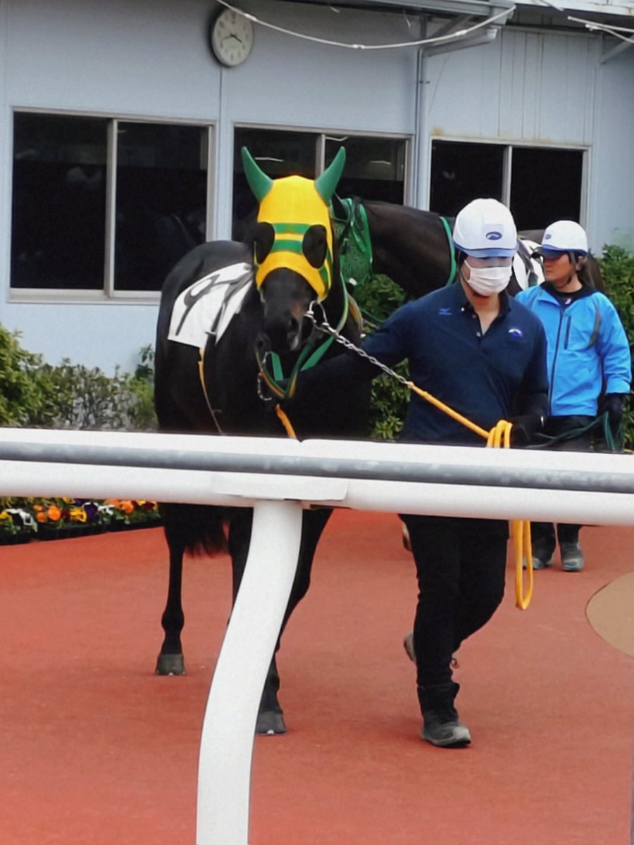 ゆさとみ tweet media