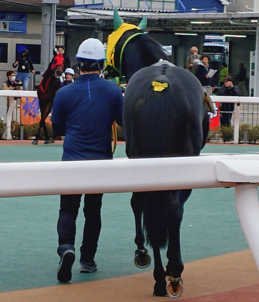 ゆさとみ tweet media