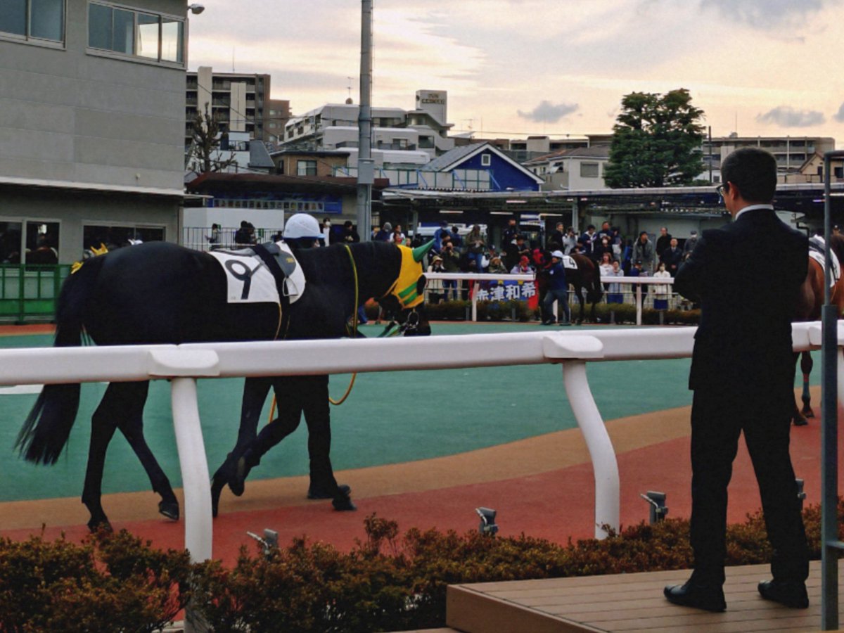 ゆさとみ tweet media