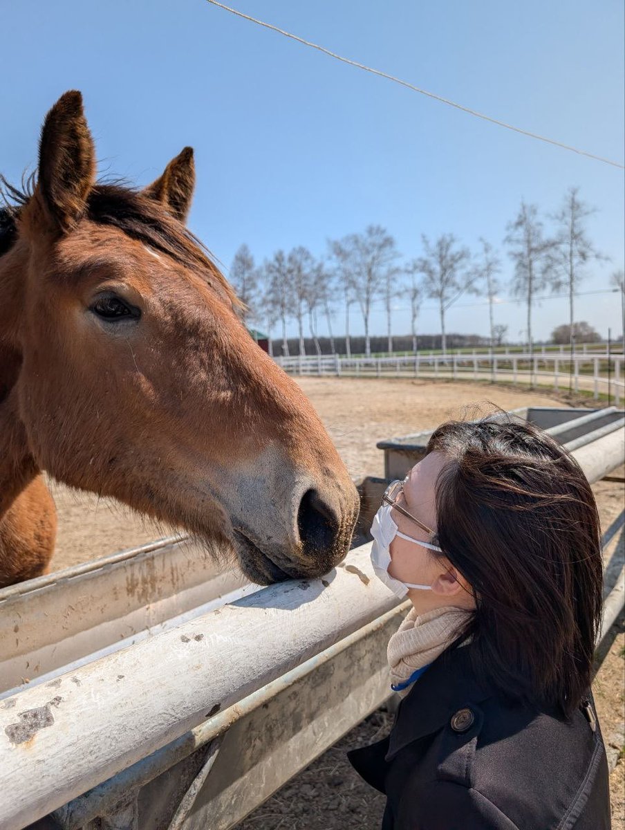 馬の鼻息を浴びるという、新たな喜びに開眼した