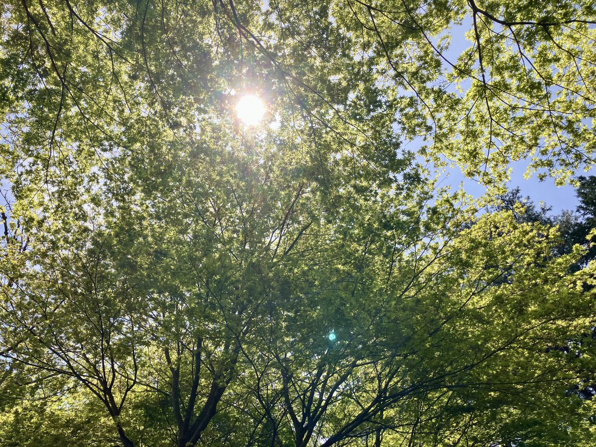 おやつカンパニーLIMITED tweet media