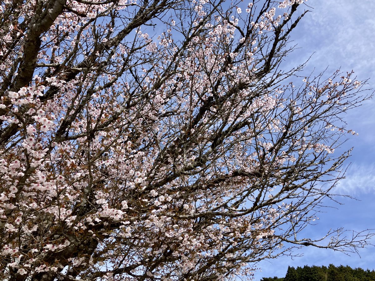 おやつカンパニーLIMITED tweet media