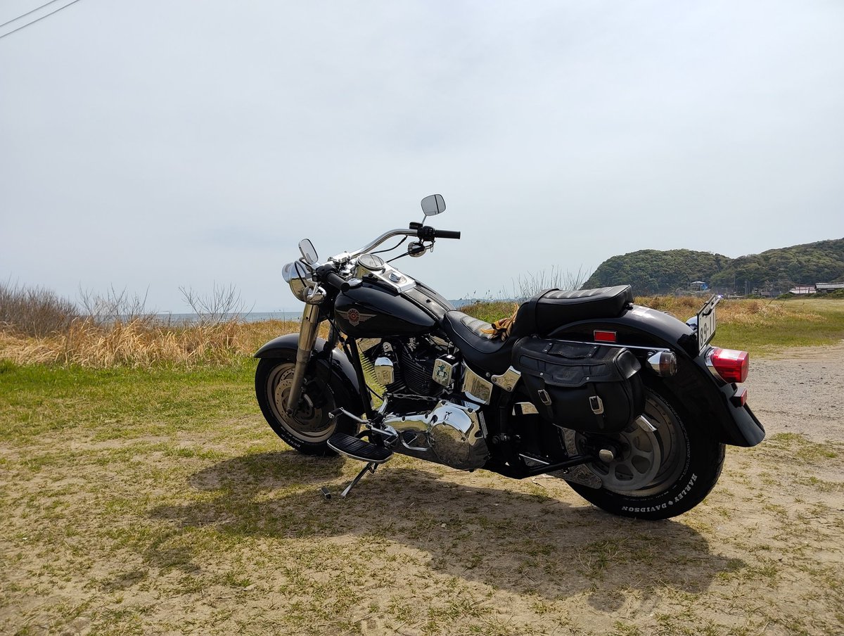 miyavidson tweet media