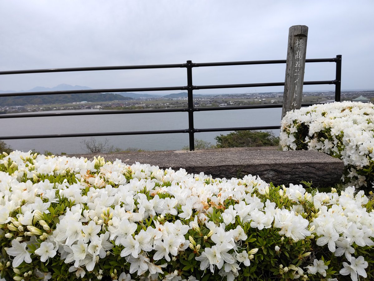 miyavidson tweet media