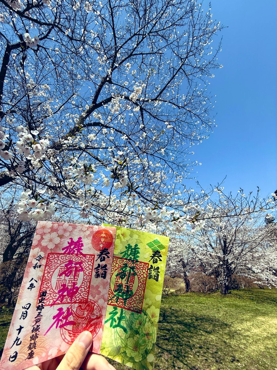 wawawa37605455's tweet photo. ようやく青森も桜前線到来✌️🌸
推しのナンちゃん連れてお花見と御朱印🐣🐼笑

天気良き😆 https://t.co/Z8iqMr5Ogd