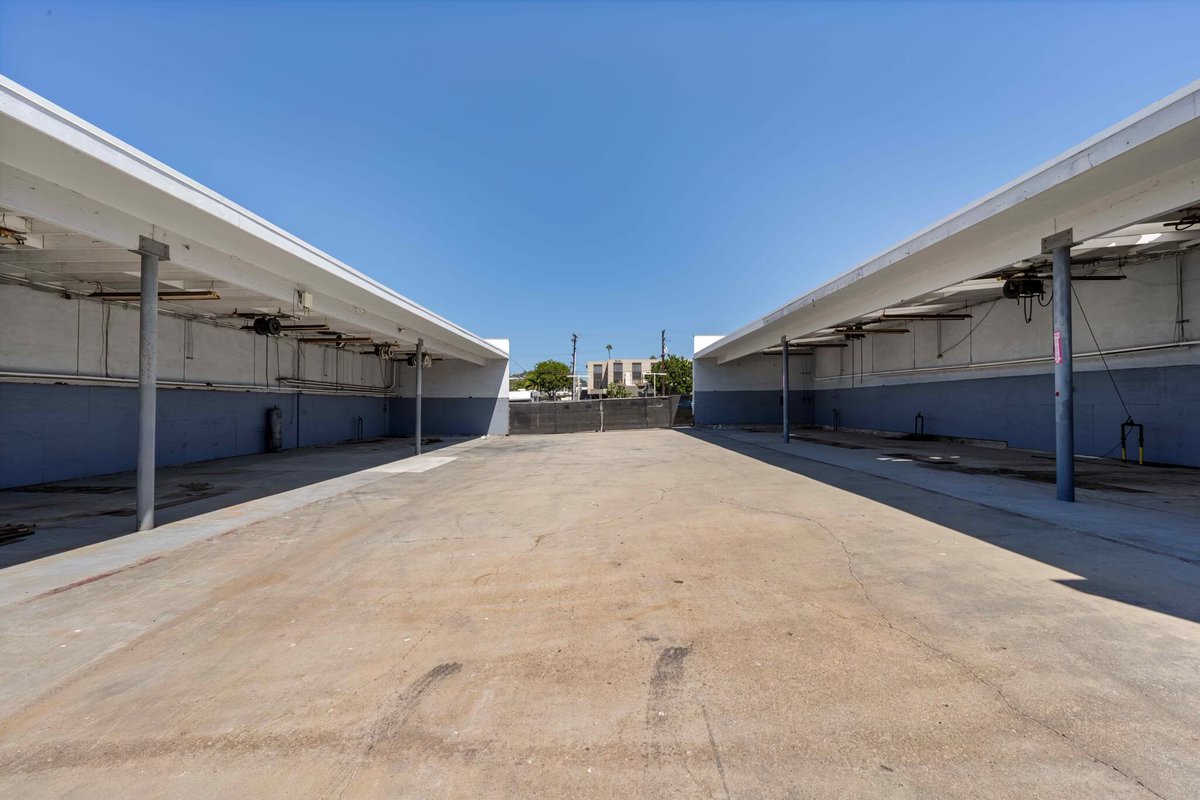 The Banana Tree Project tweet media