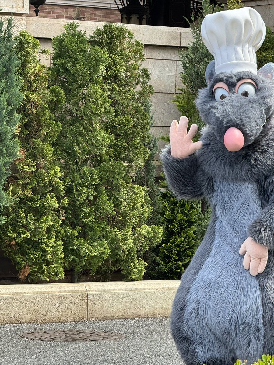 たろすけ tweet media