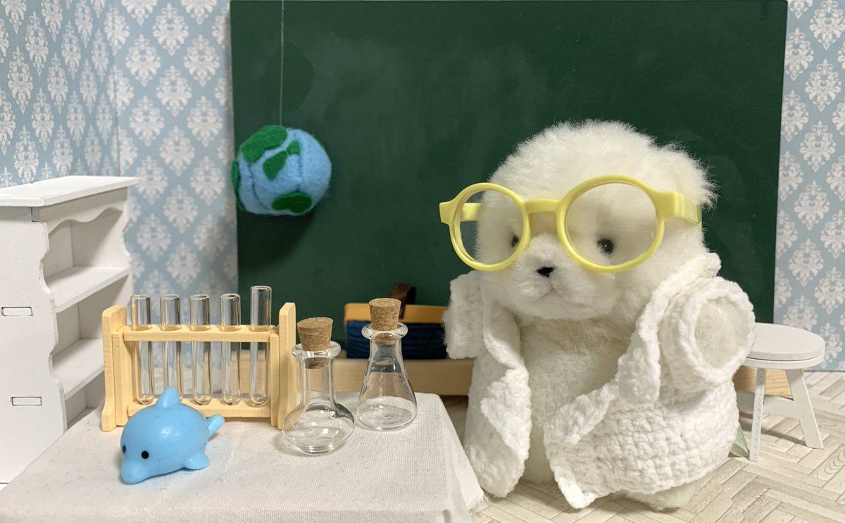 ぼん🎈 tweet media