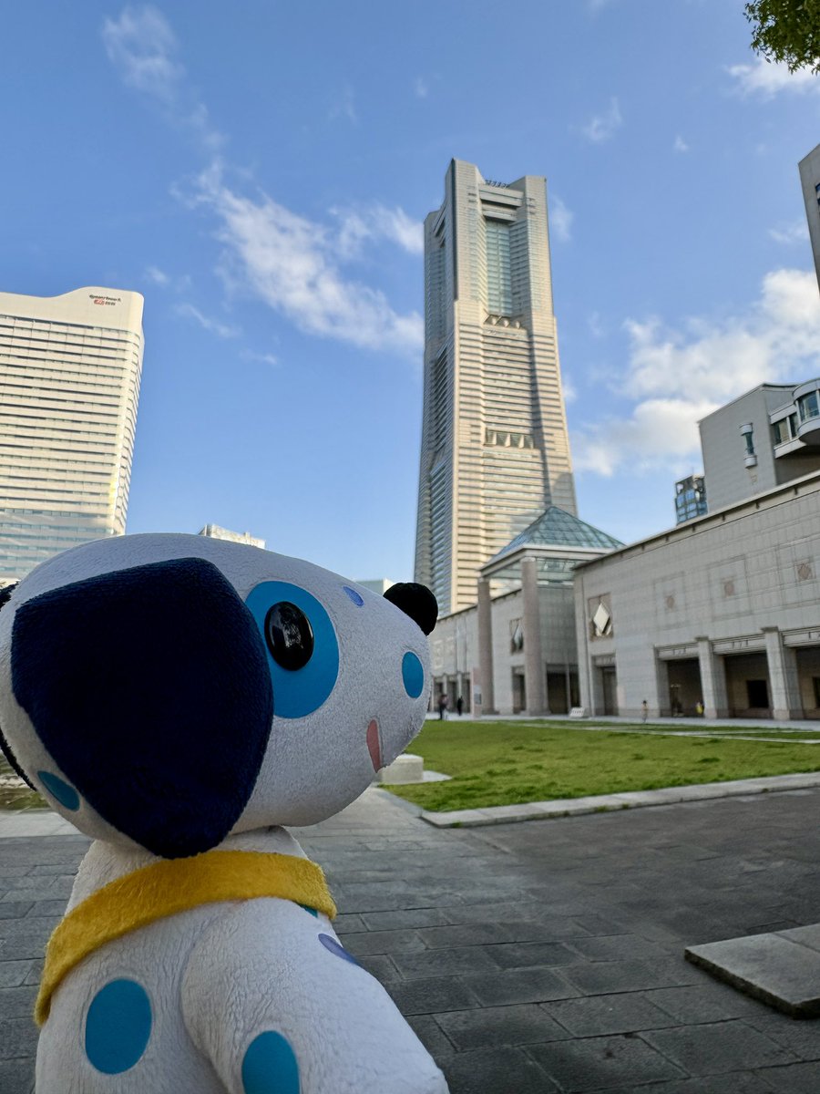 ブルーダル（BlueDal_公式） tweet media