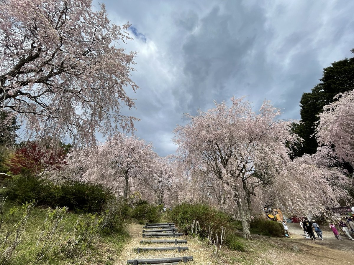 Fujimoto_N 9月帰任、再出発 tweet media