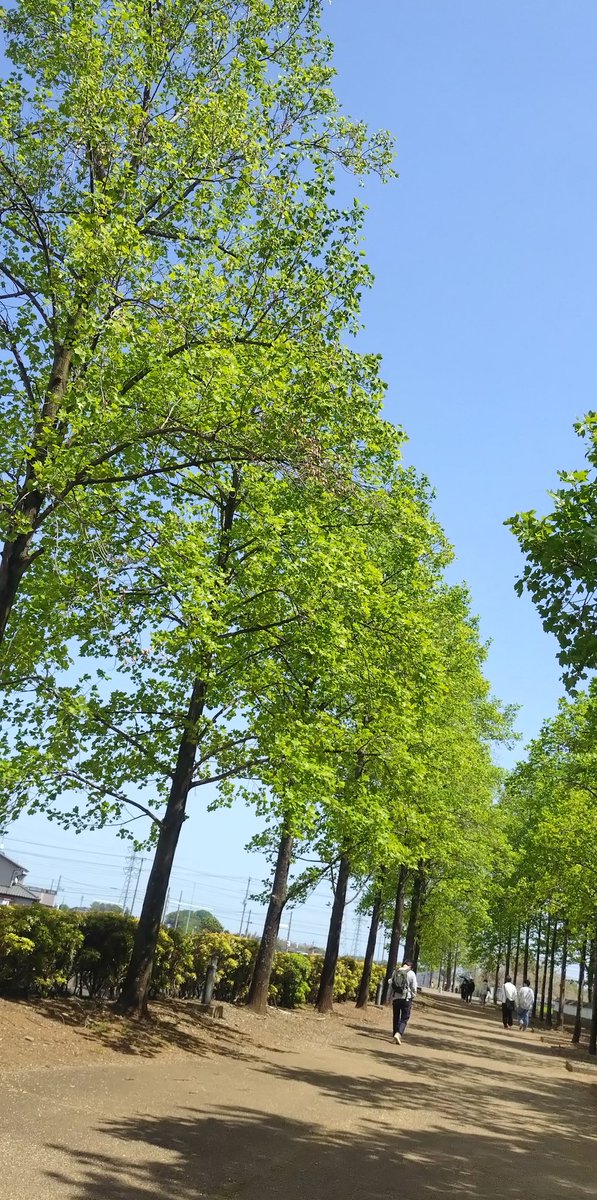 駒井亜紀子 tweet media