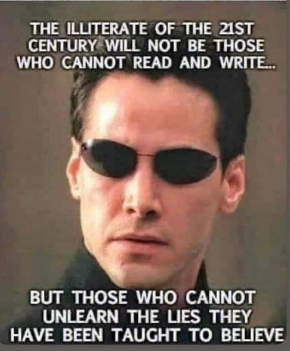 Protocol Widow tweet media