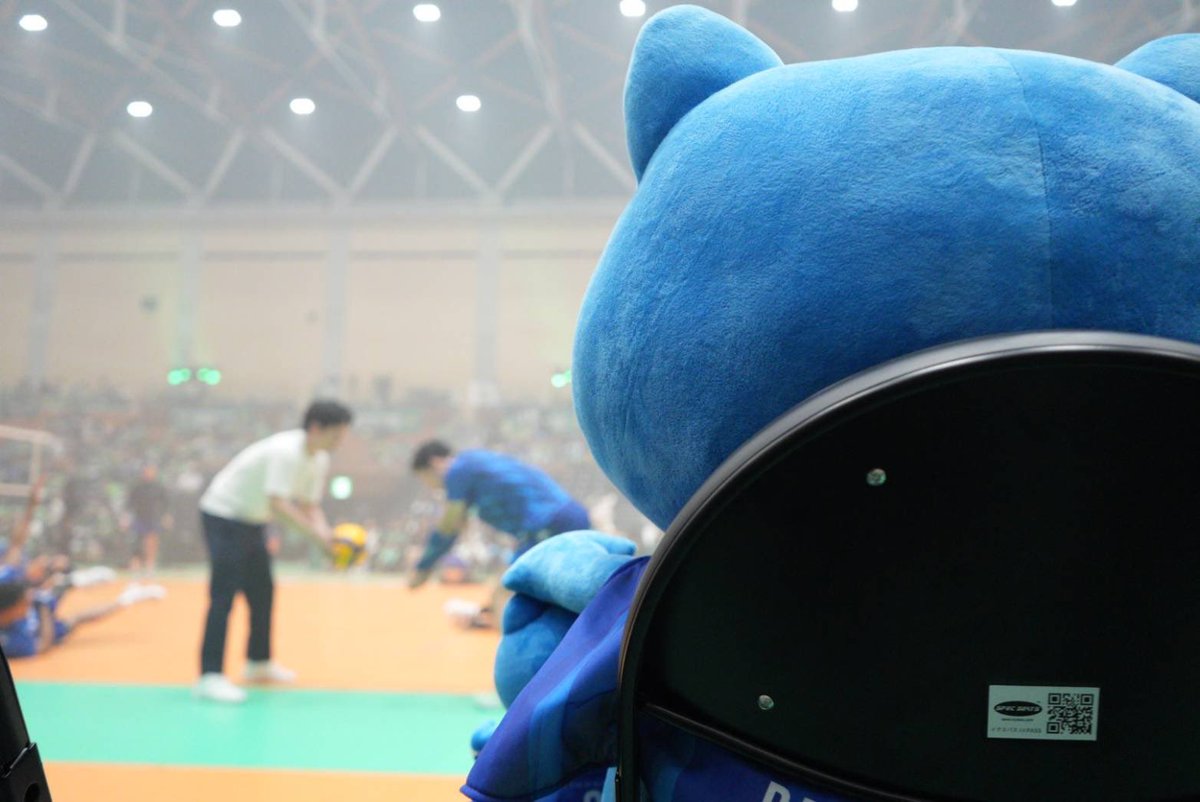 大阪ブルテオン【OSAKA BLUTEON】 tweet media