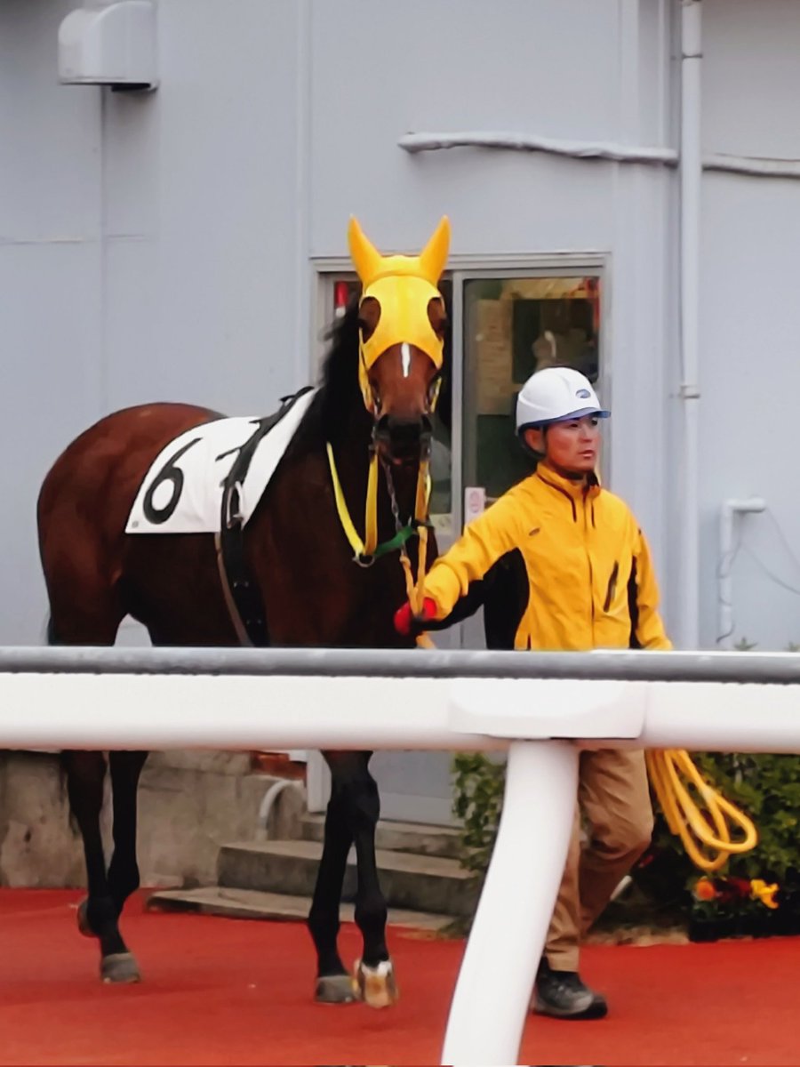 ゆさとみ tweet media