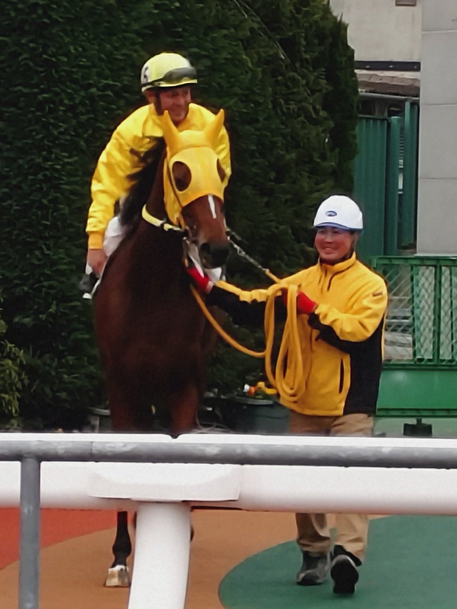 ゆさとみ tweet media