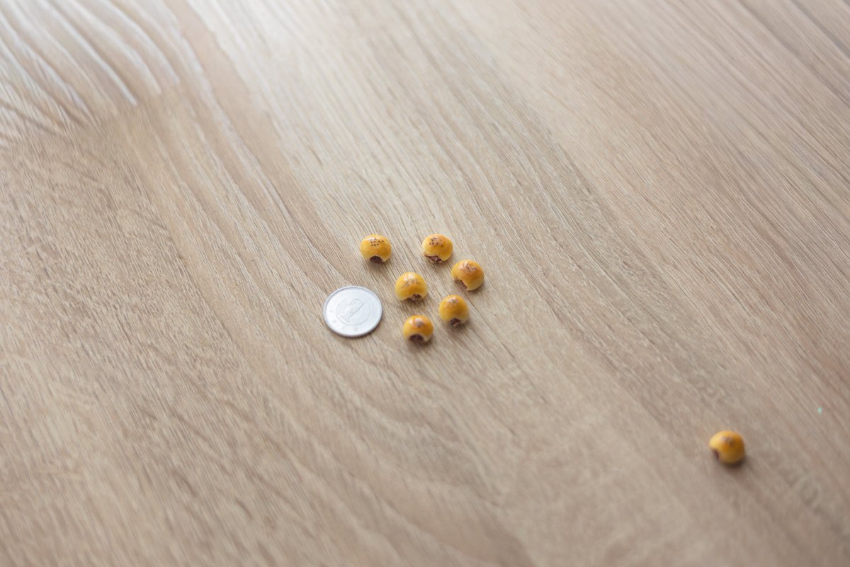 potandorinew's tweet image. ミニあんぱんできました！
ちっさ！
#ミニチュア
#miniature
#ハンドメイド
#ミニチュアパン