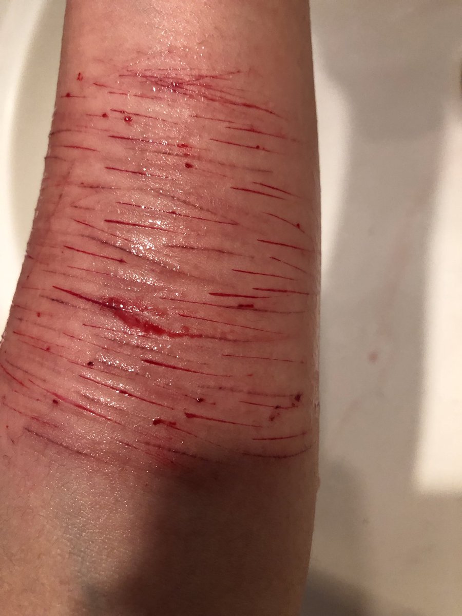 ✩ ⋆ ｡𖦹° ･ ★ Caramel Arrow of shtwt tweet media