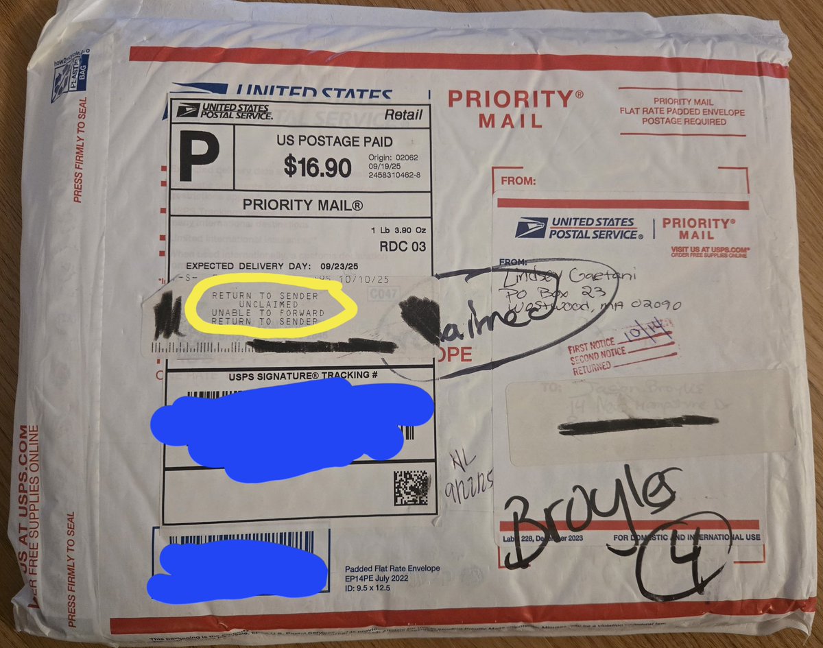 Lindsey Gaetani tweet media