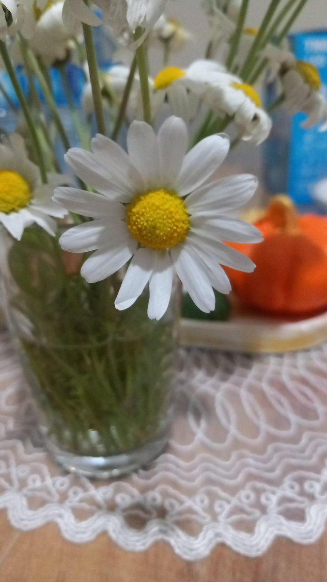 €M€L tweet media