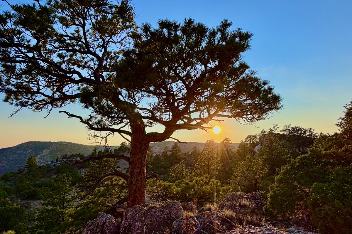 Wonder Wander Way tweet media