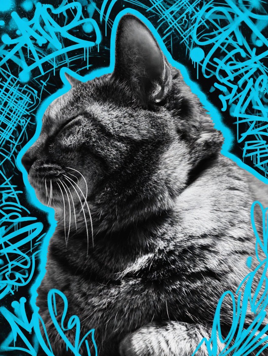 へなだ☆ぽこた tweet media