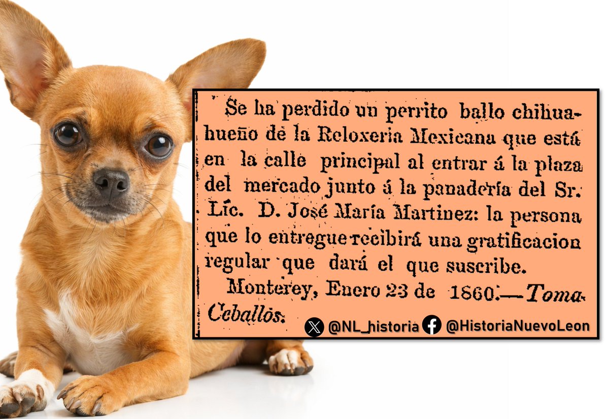 Historia Nuevo León tweet media