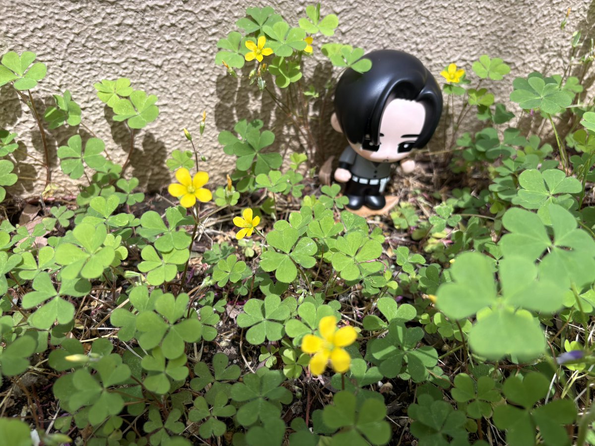 moco.🌼 tweet media