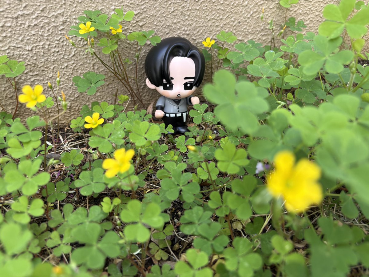 moco.🌼 tweet media