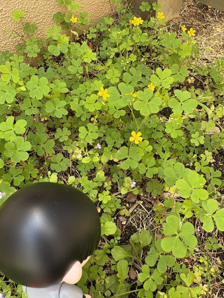 moco.🌼 tweet media