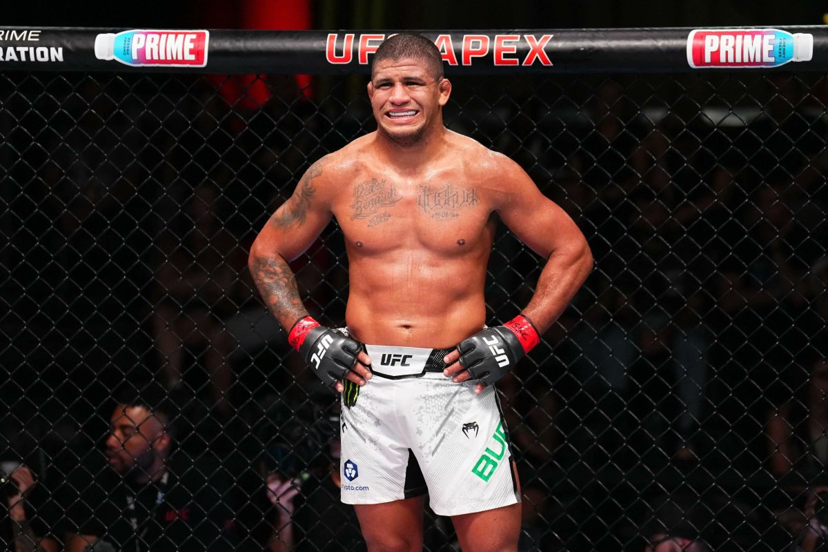 The Fight Fanatic tweet media