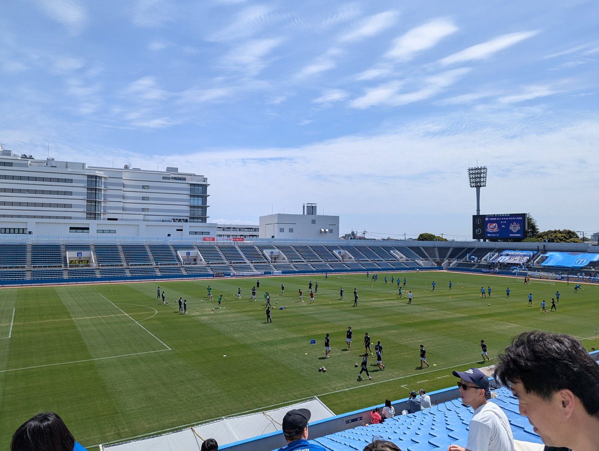 シューマ tweet media