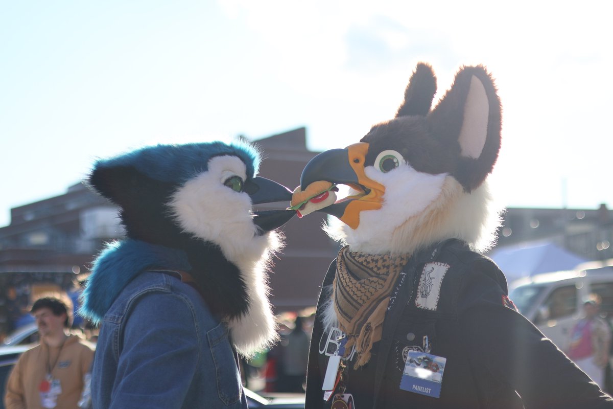 Casmir 🪶 tweet media