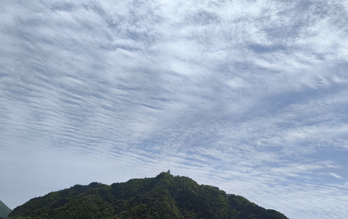 パパはくりちゃん tweet media