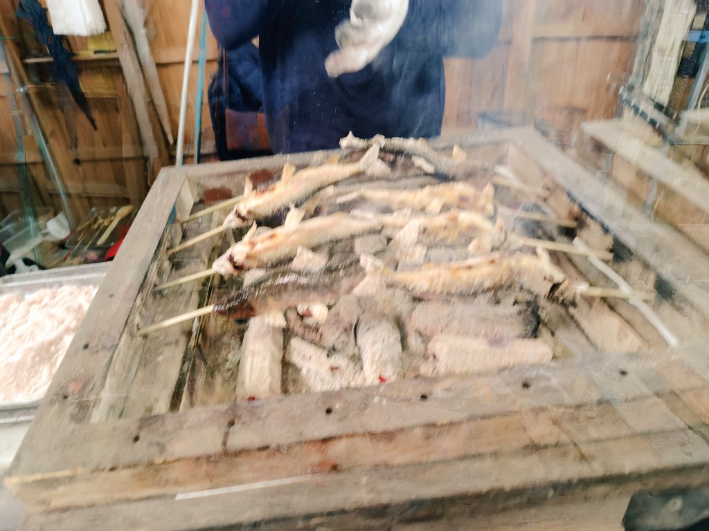 シバコシバヲ@5/4山香10マイル tweet media